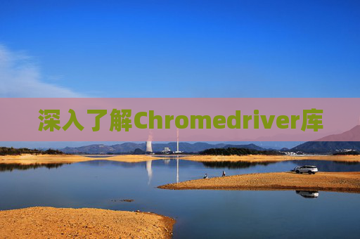 深入了解Chromedriver库