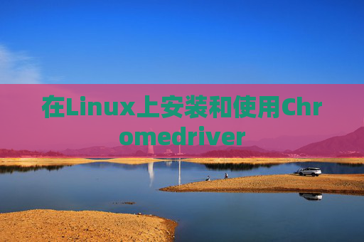在Linux上安装和使用Chromedriver
