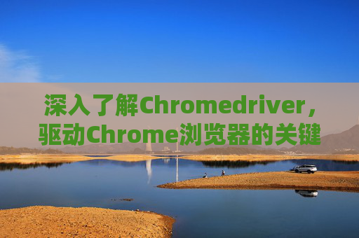 深入了解Chromedriver，驱动Chrome浏览器的关键工具