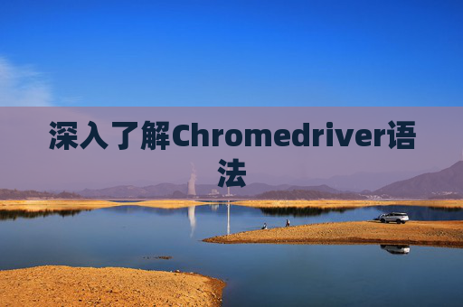 深入了解Chromedriver语法